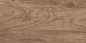 GFA3060BWD44R плитка керамогранитная Брентвуд / Brentwood 300*600 (9 шт в уп/64.8 м в пал)