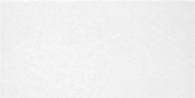 TWU09MNR020 плитка облицовочная Monocolor 249x500x7,5